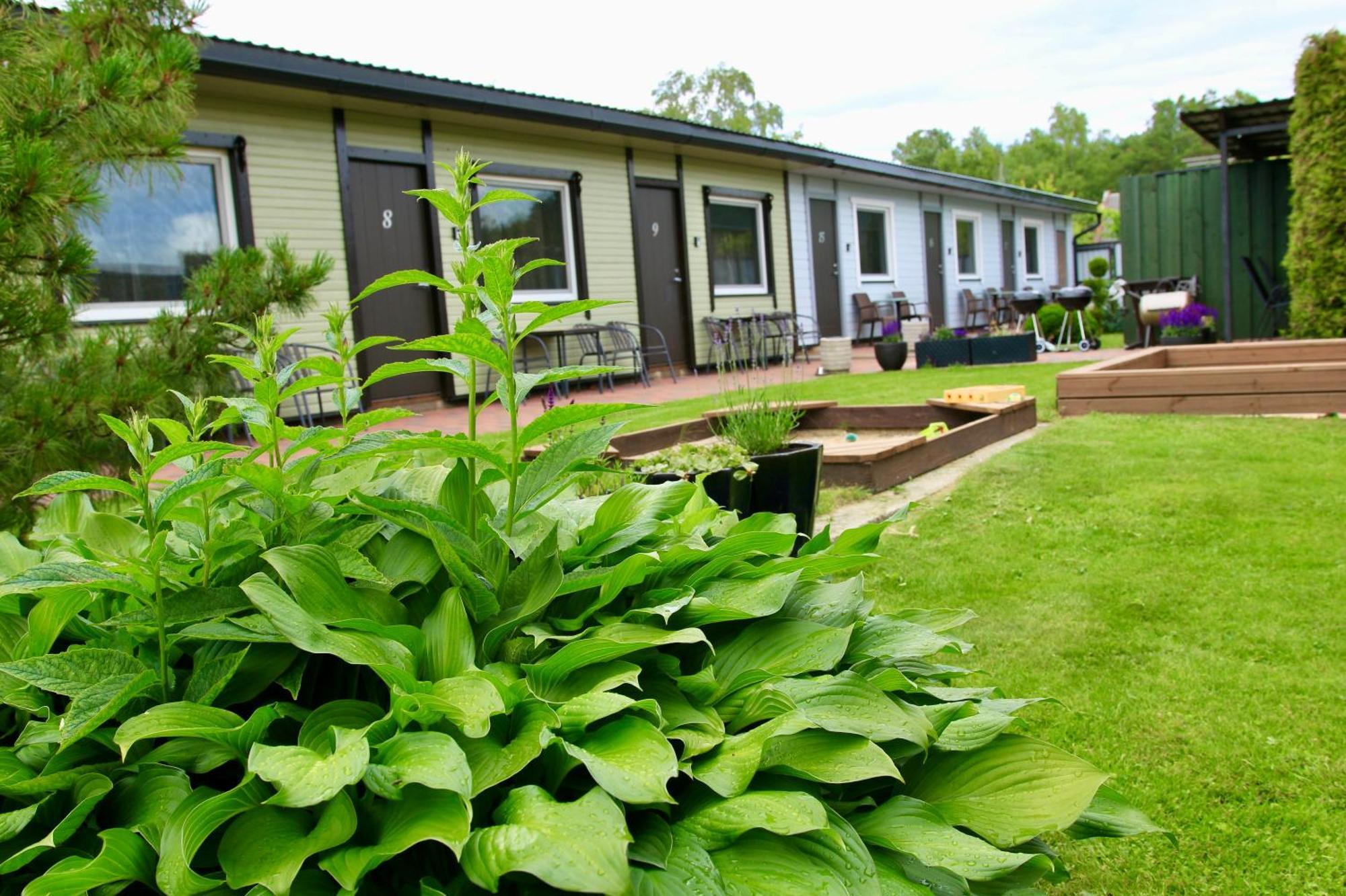 Guesthouse Maenniku Pärnu Exteriör bild